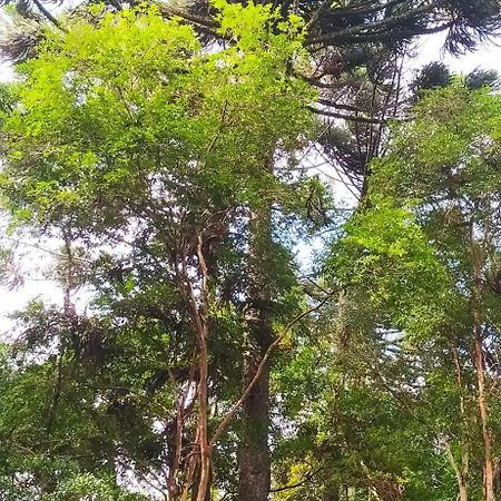 Chacara Rancho Paraiso Piraquara Zewnętrze zdjęcie