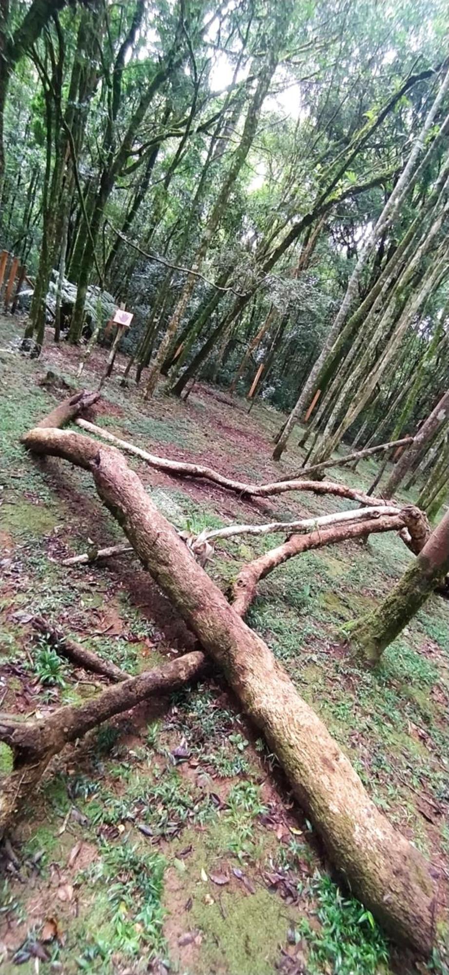 Chacara Rancho Paraiso Piraquara Zewnętrze zdjęcie