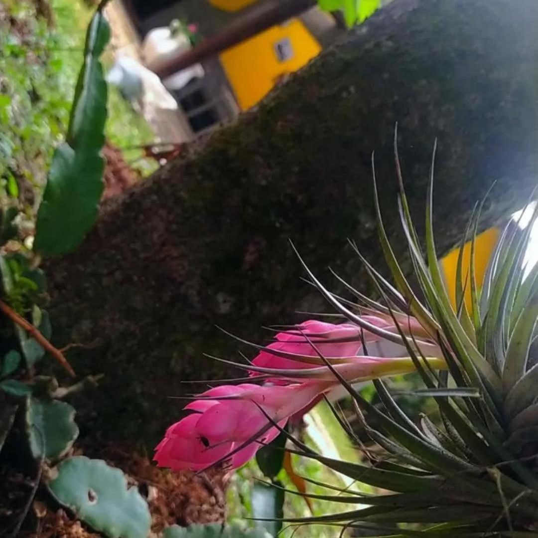 Chacara Rancho Paraiso Piraquara Zewnętrze zdjęcie