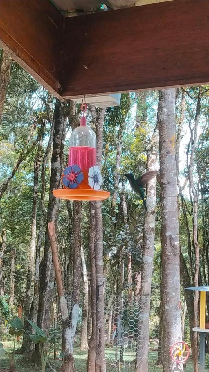 Chacara Rancho Paraiso Piraquara Zewnętrze zdjęcie