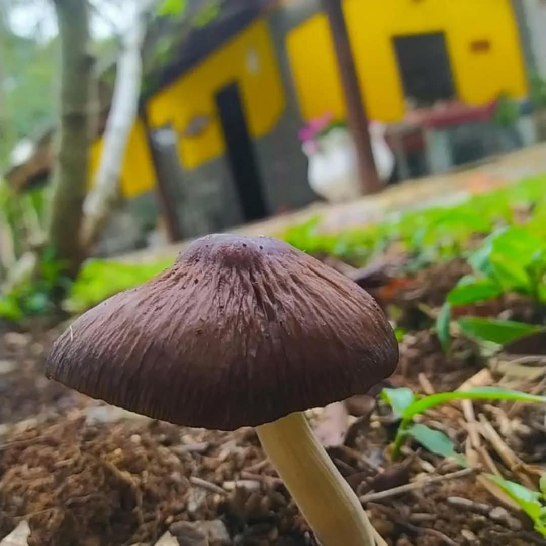 Chacara Rancho Paraiso Piraquara Zewnętrze zdjęcie